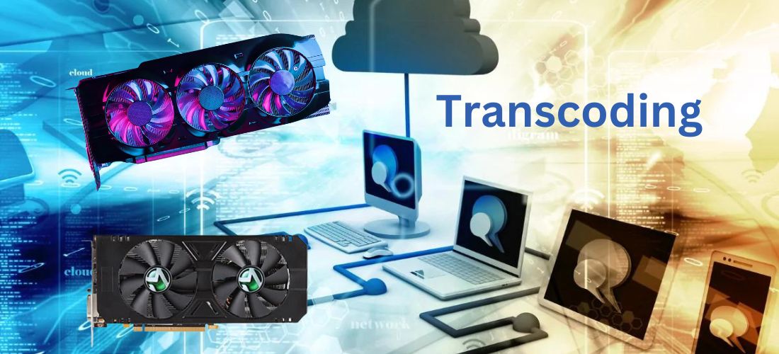 Best Graphic Cards For Transcoding