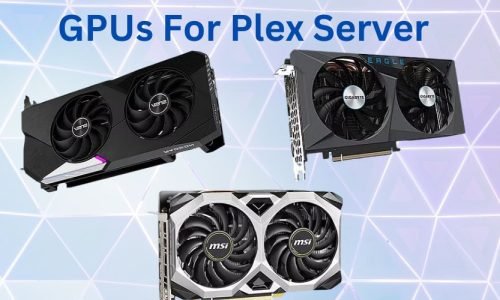 Best GPUs For Plex Server