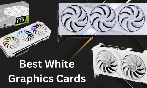 Best White Graphics Cards